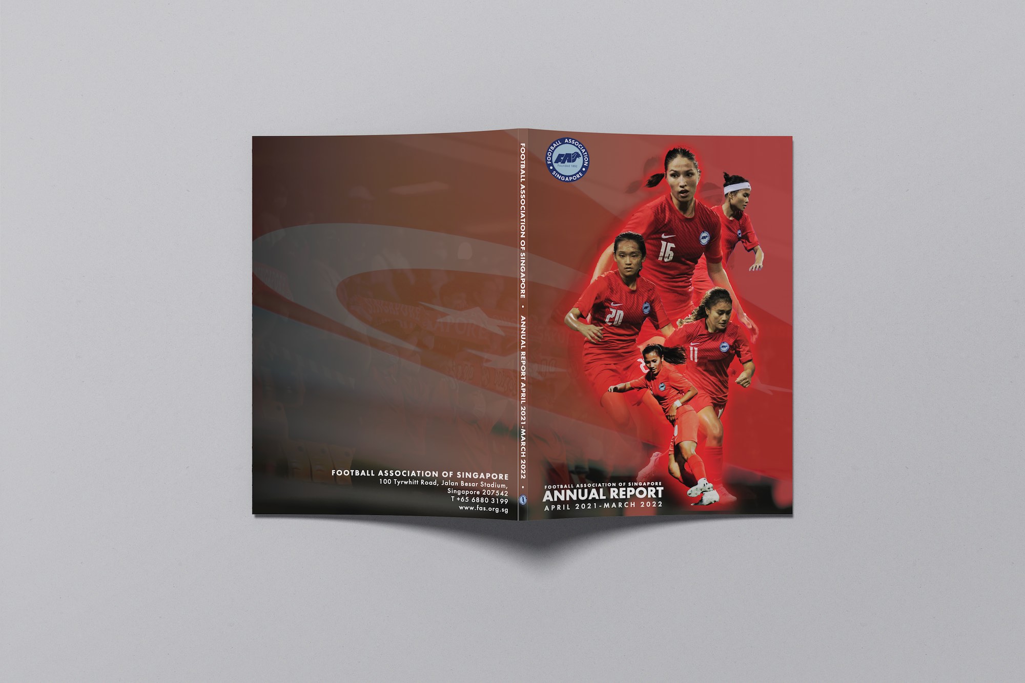 Graphic Design: FAS Annual Report
